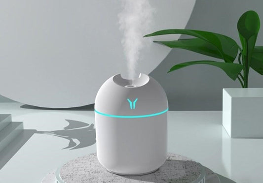 Mini Humidifier