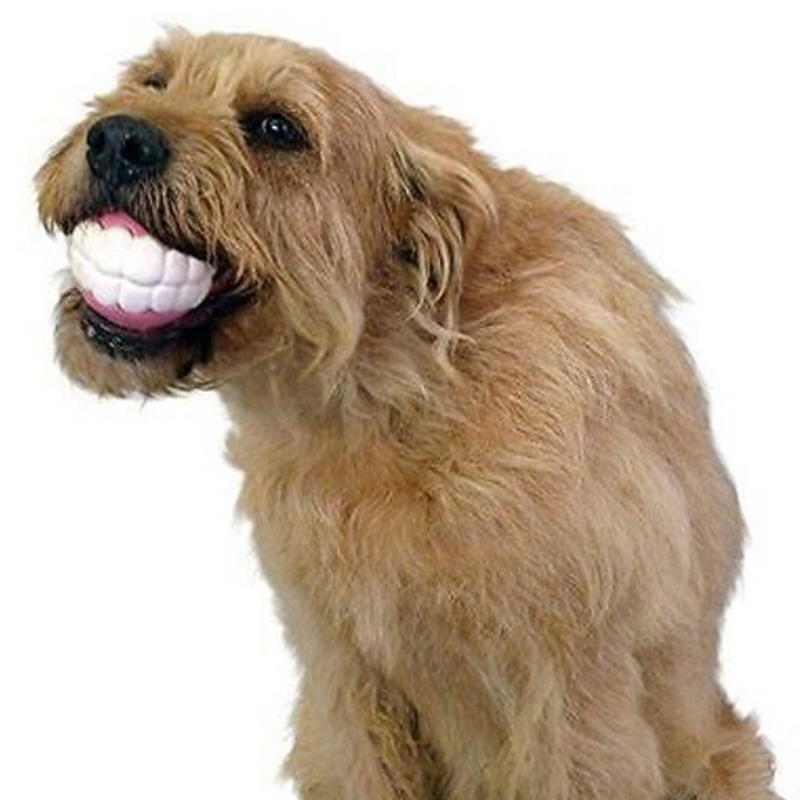 Pet Ball Teeth Silicon Chew Toys for Large Breeds